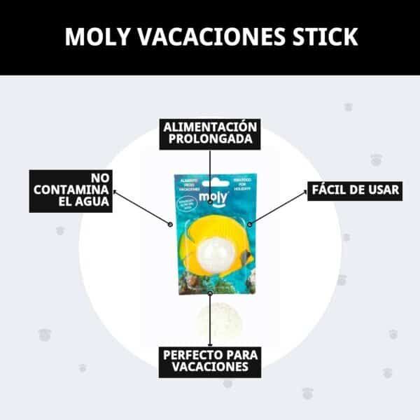 moly vacaciones stick