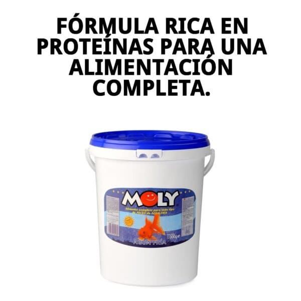 moly goldfish color 1 kg
