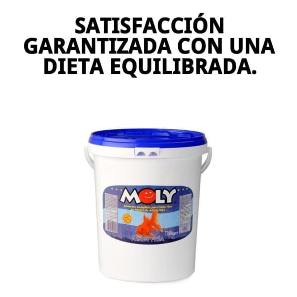 moly goldfish color 1 kg