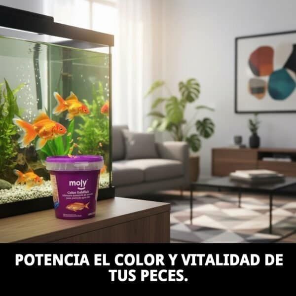 moly goldfish color 200 gr 1180 ml