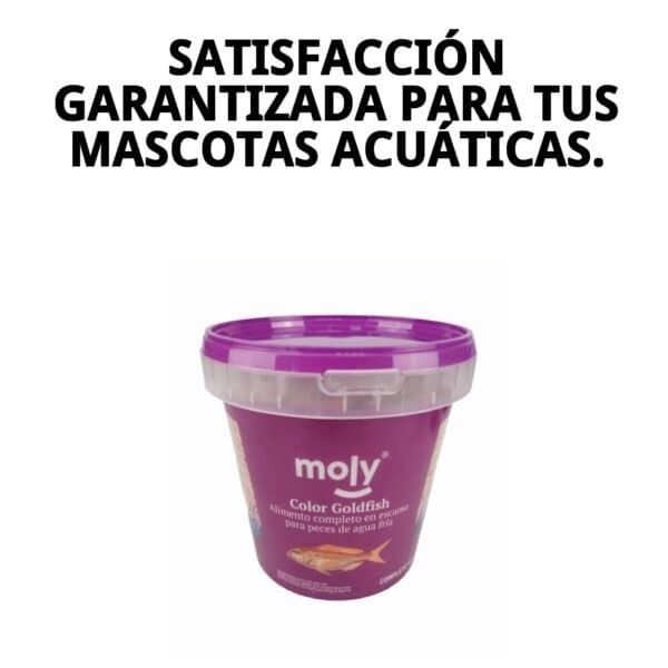 moly goldfish color 200 gr 1180 ml