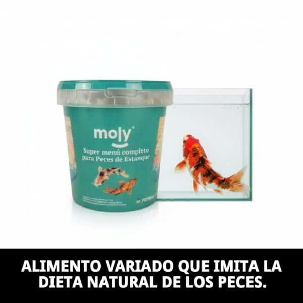 moly super menu estanque 140 gr 1180ml