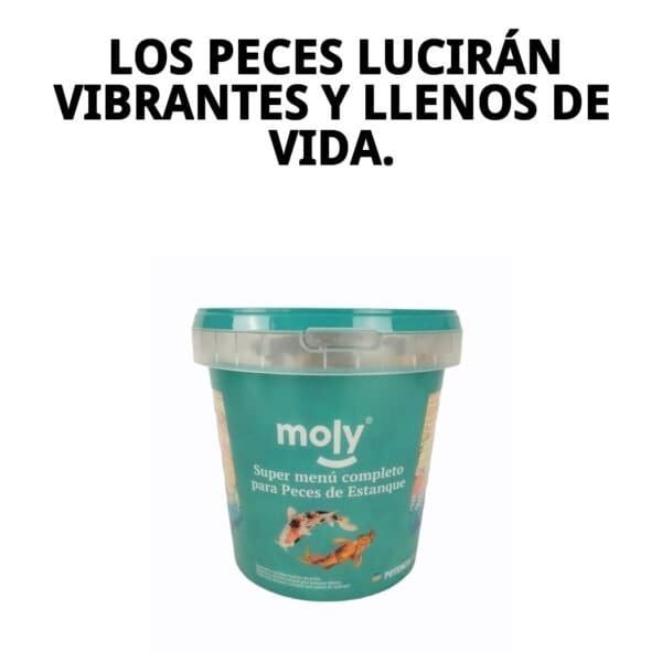 moly super menu estanque 140 gr 1180ml