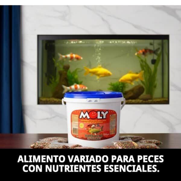 moly super menu estanque 600 gr/ 5.5 l
