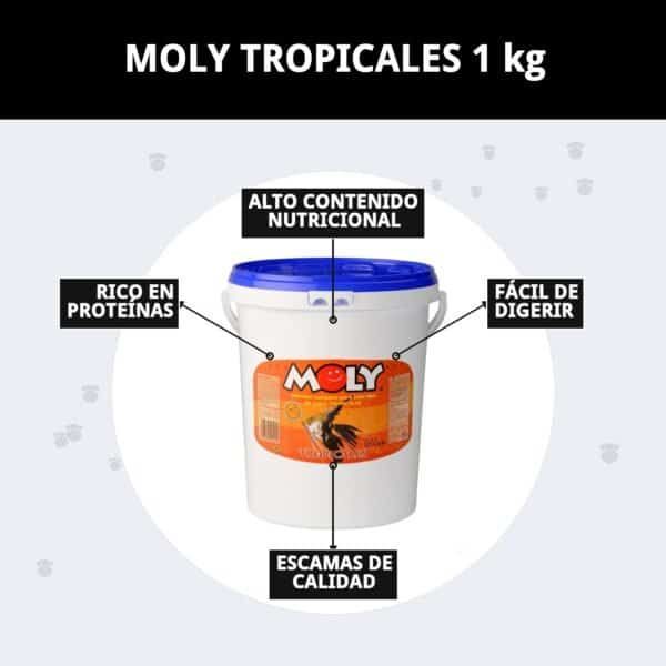 moly tropicales 1 kg