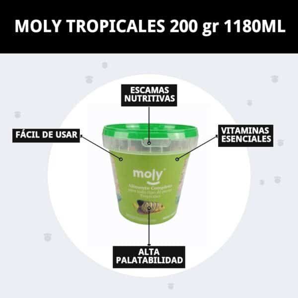 moly tropicales 200 gr 1180ml