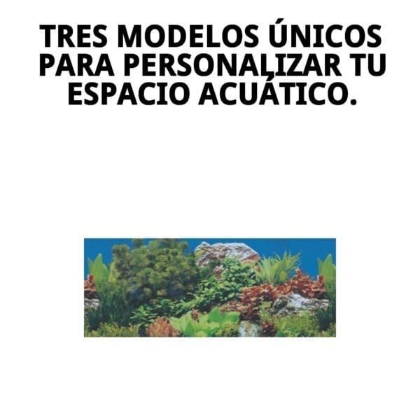 hierba para gatos con bandeja moly ecológica | ayuda digestiva natural y antiestrés