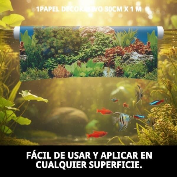 hierba para gatos con bandeja moly ecológica | ayuda digestiva natural y antiestrés