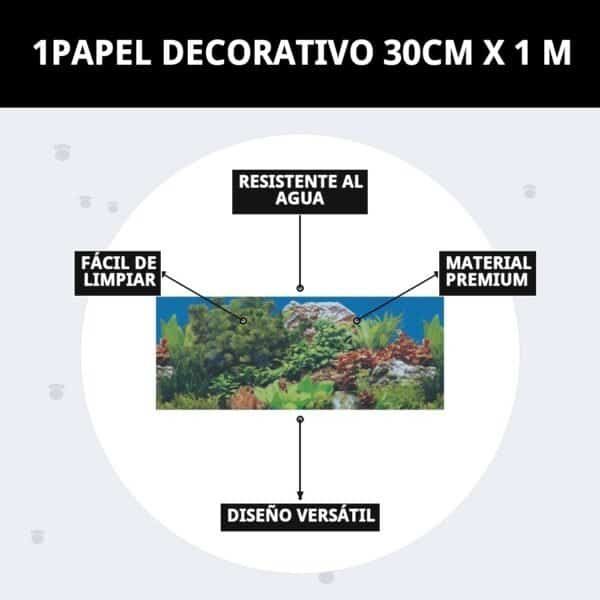 hierba para gatos con bandeja moly ecológica | ayuda digestiva natural y antiestrés