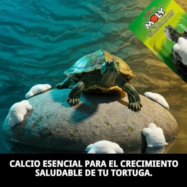 moly calcio tortugas pequeÑas