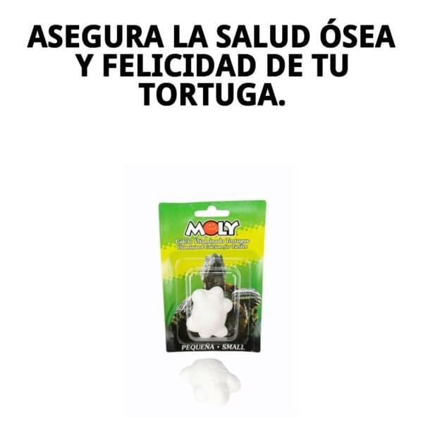 moly calcio tortugas pequeÑas