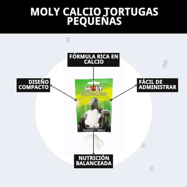 moly calcio tortugas pequeÑas