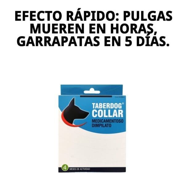 collar dfv insecticida