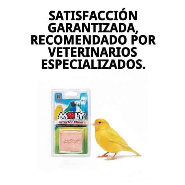 moly calcio pajaros 100 gr