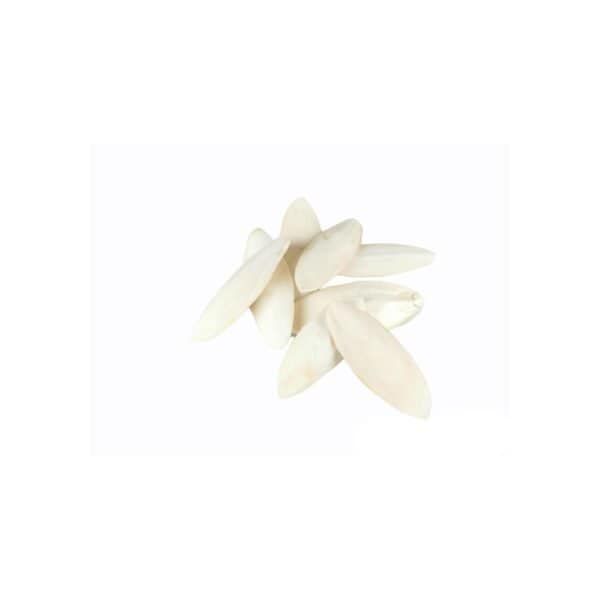 moly hueso de jibia bolsa 50 pzas 15 cm