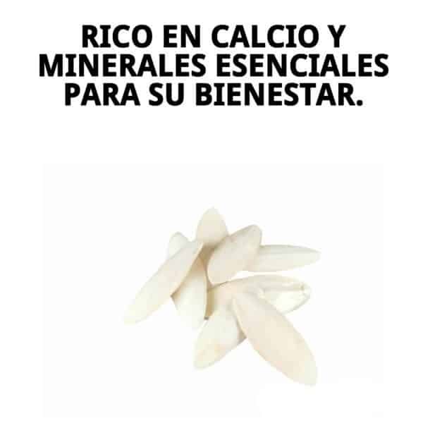 moly hueso de jibia bolsa 50 pzas 15 cm