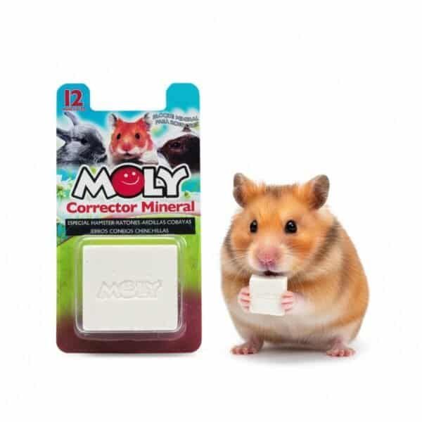 mordedor tpr 50 cm green moly | juguete xl resistente para perros grandes y muy activos