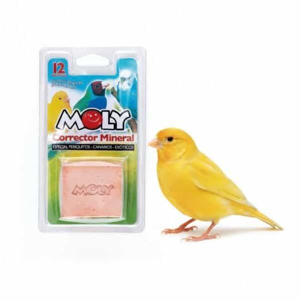 moly calcio pajaros 100 gr