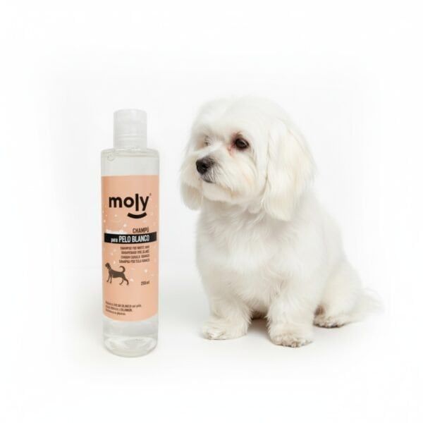 cuna gato y perro doble uso design high
