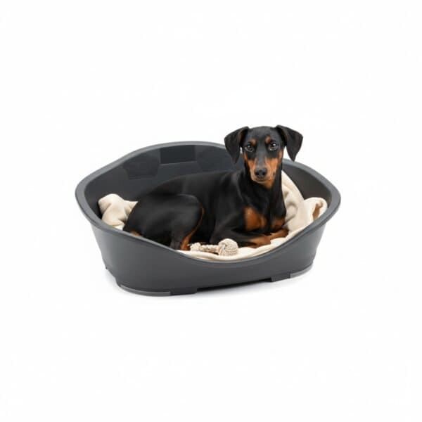 juguete pets colecciÓn spring summer pez 8.3*6.4 c