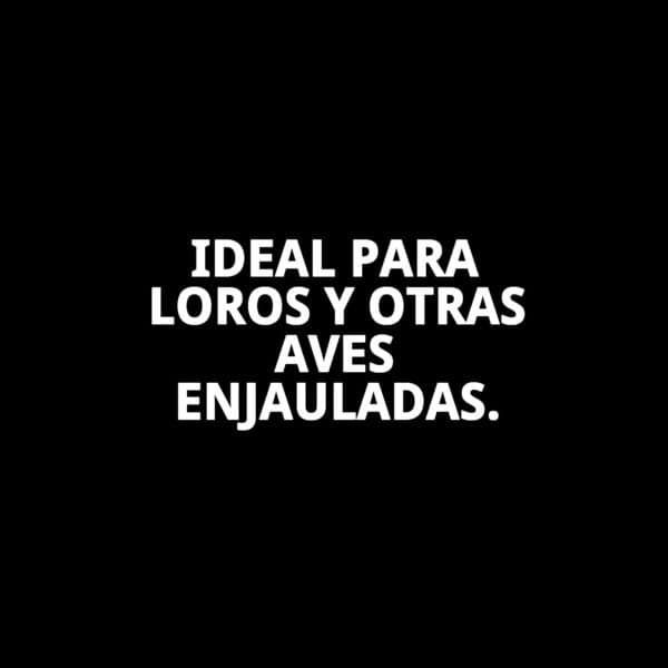 comedero loro c/ganchos