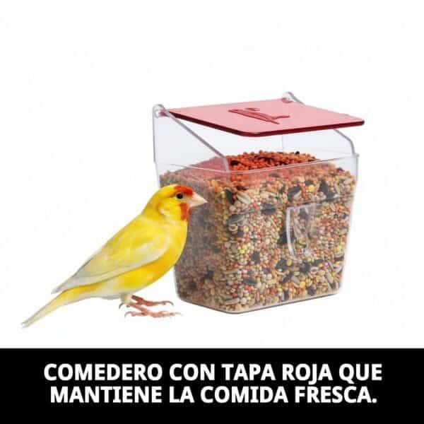 comedero tapa roja