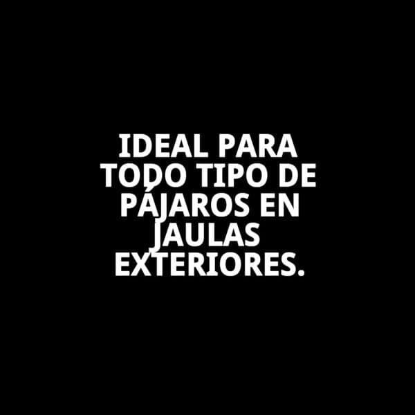 comedero canarias