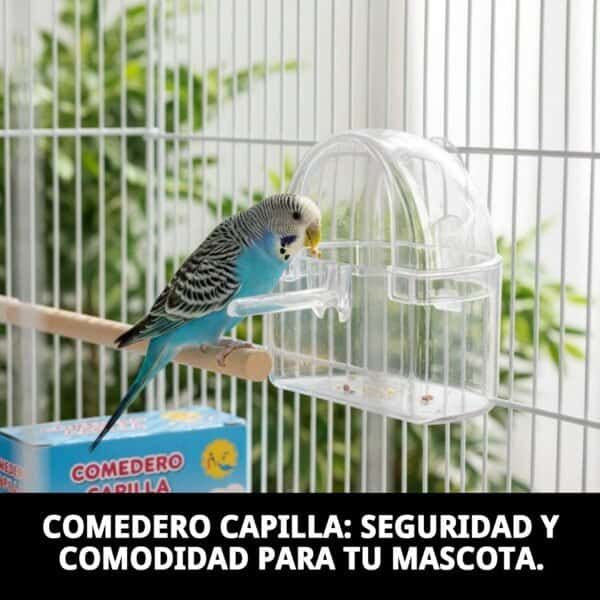 comedero capilla