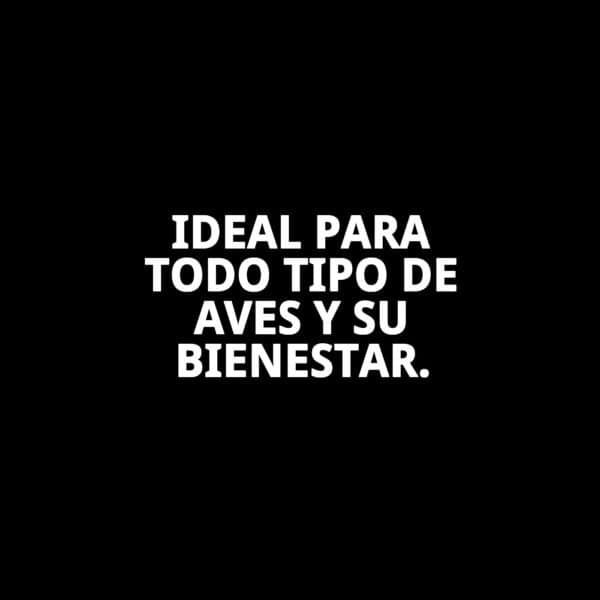 portasales bizcochera