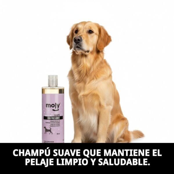 champú uso frecuente 500 ml moly | limpieza suave y diario para todo tipo de perros