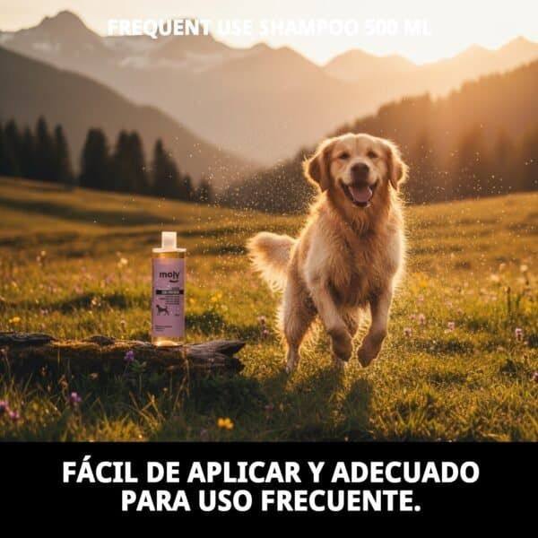 champú uso frecuente 500 ml moly | limpieza suave y diario para todo tipo de perros