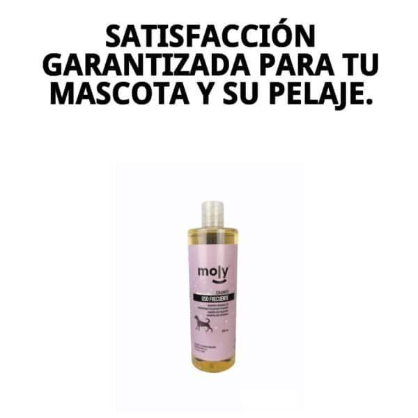champú uso frecuente 500 ml moly | limpieza suave y diario para todo tipo de perros