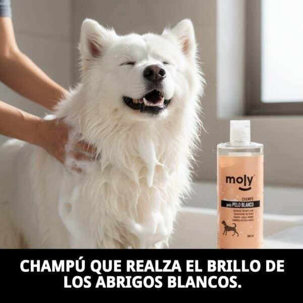 champú pelo blanco 500 ml moly | iluminador profesional para pelajes blancos y claros