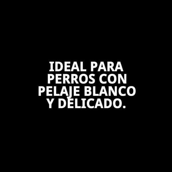 champú pelo blanco 500 ml moly | iluminador profesional para pelajes blancos y claros