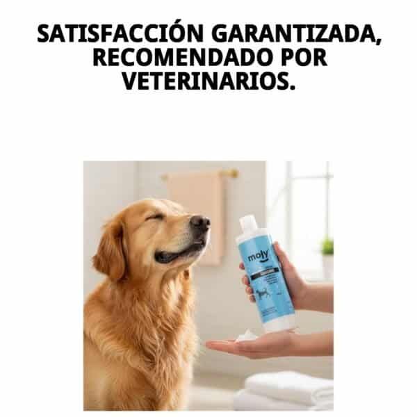 crema suavizante 500 ml moly | acondicionador profesional para pelo suave, brillante y sin nudos