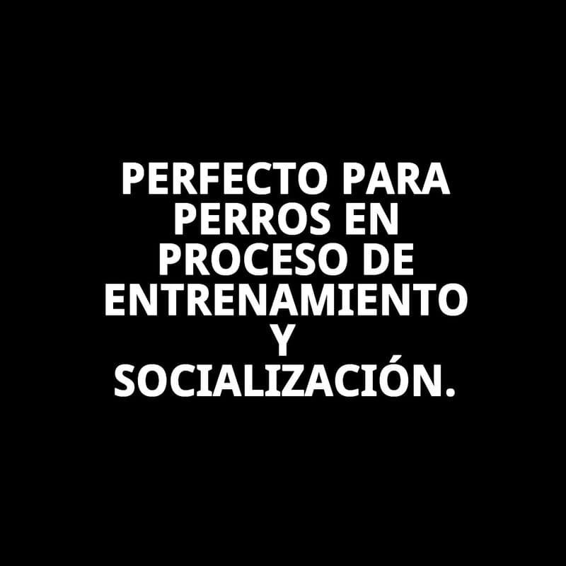 collar y ramal nylon adiestra 120 x 0,80cm