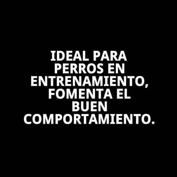 collar y ramal nylon adiestra 120 x 1,30cm