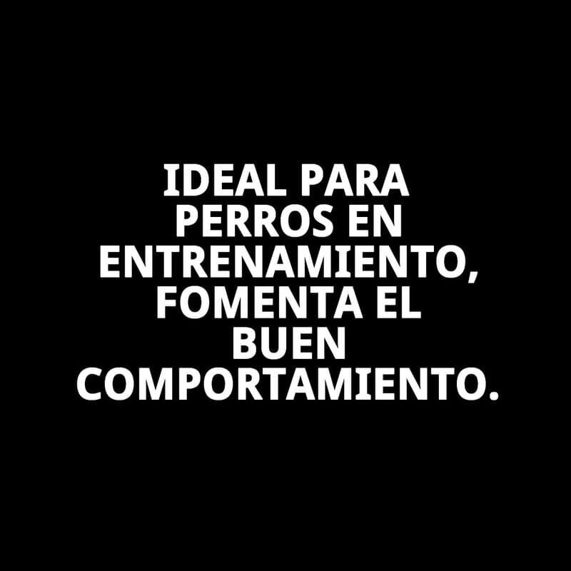 collar y ramal nylon adiestra 120 x 1,30cm