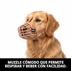bozal cesta cuero y plastic n6
