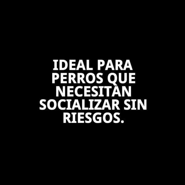 bozal cesta cuero y plastic n6