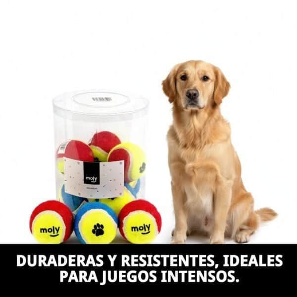 exp. 10 pelotas tenis c/huellas 6.5cms
