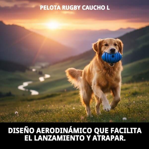 pelota rugby caucho l