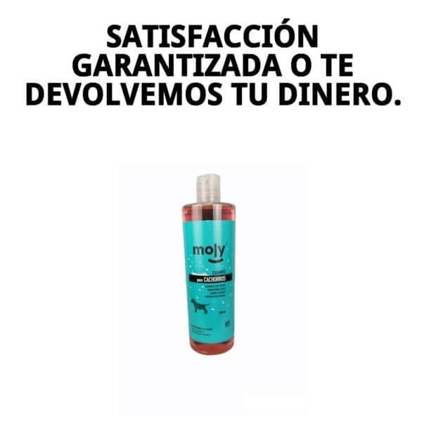 champú para cachorros 500 ml moly | limpieza ultra suave para pieles sensibles