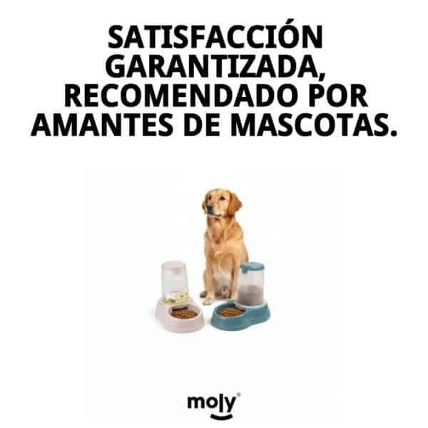Alimentador perros 1.5L.