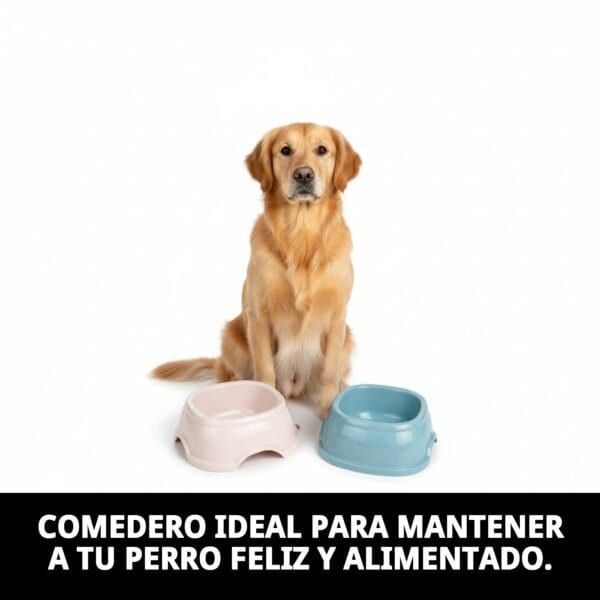 Comedero para perros de alta calidad, ideal para alimentación saludable y feliz.
