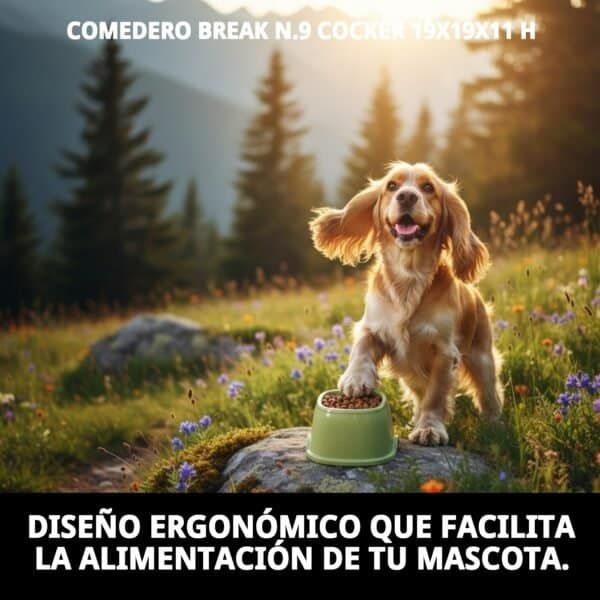 Comedero para perros Cocker con tamaño 19x19x11H, ideal para mascotas.