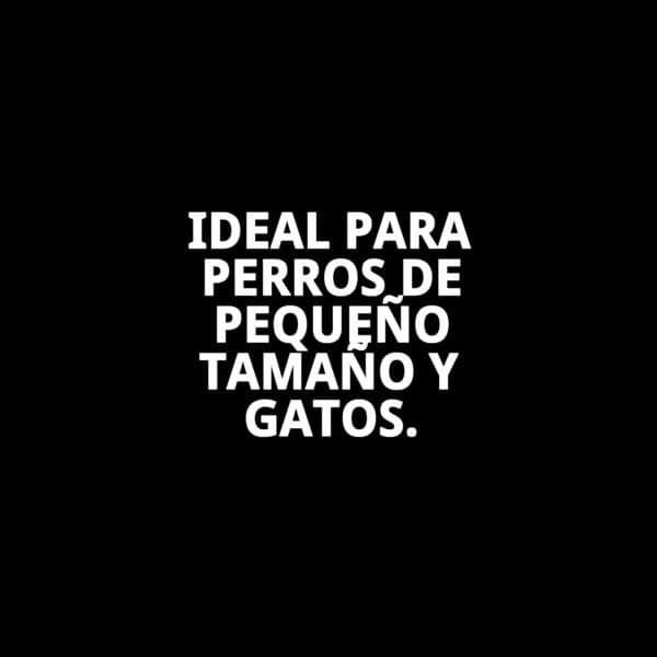 Comedero para perros pequeños y gatos, ideal para alimentación diaria y fácil de limpiar.