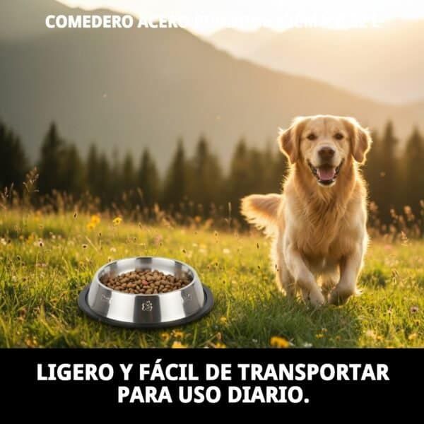 Comedero para perros en acero, pirámide 12cm, 0,22L, ideal para uso diario.