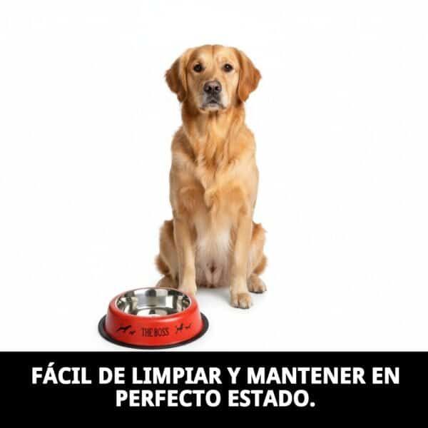 Comedero para perros en acero inoxidable, resistente y fácil de limpiar. Ideal para alimentación diaria.