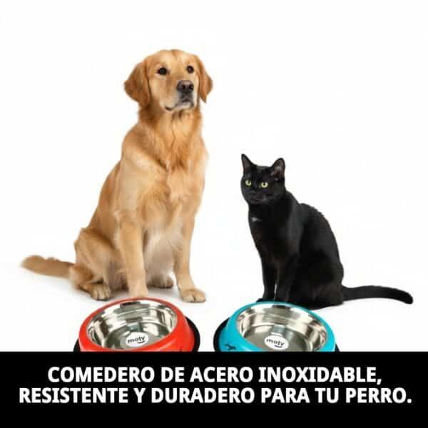 Comedero anti-derrame acero 22cm.